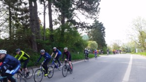 27te Ostholstein Rundfahrt_20180429_08 27te Ostholstein Rundfahrt_20180429_08
