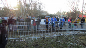 IMG_0987 IMG_0987