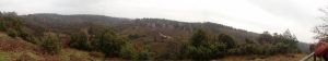 Wilseder Berg028
