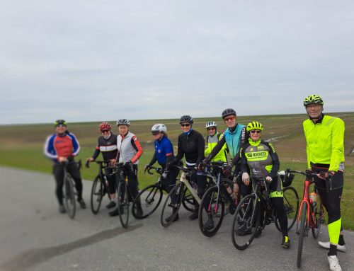 Bilder vom Nordsee-Marathon in Husum (17. Mai 2026)